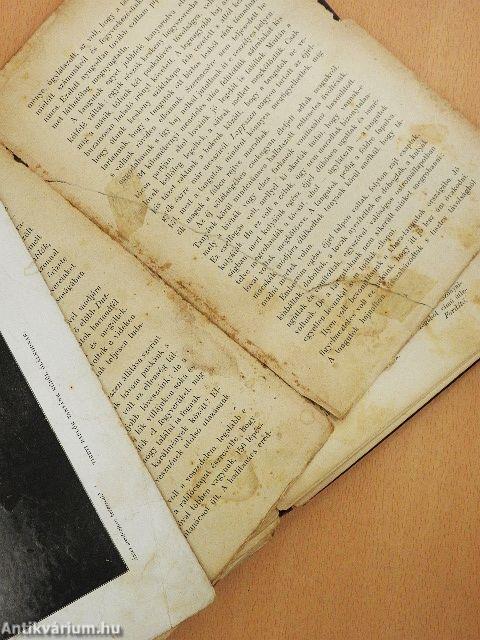 Ázsia sivatagjain keresztül (rossz állapotú)