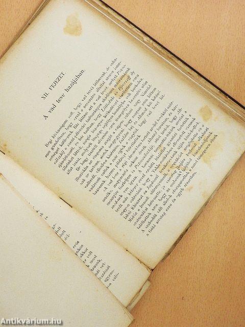 Ázsia sivatagjain keresztül (rossz állapotú)