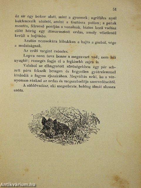 Erdőn mezőn (rossz állapotú)