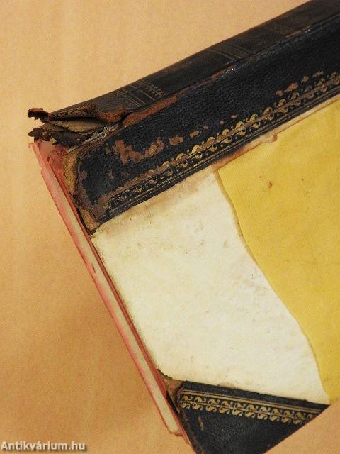 Beszterce ostroma (rossz állapotú)