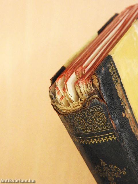 Beszterce ostroma (rossz állapotú)