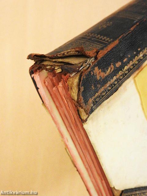 Beszterce ostroma (rossz állapotú)