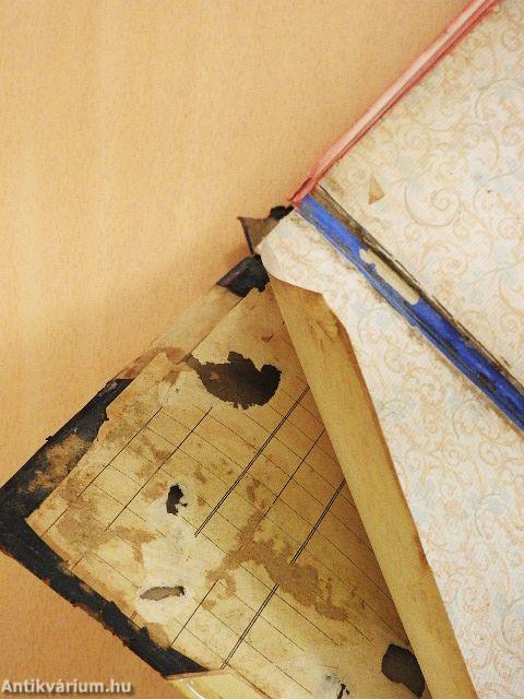 Beszterce ostroma (rossz állapotú)