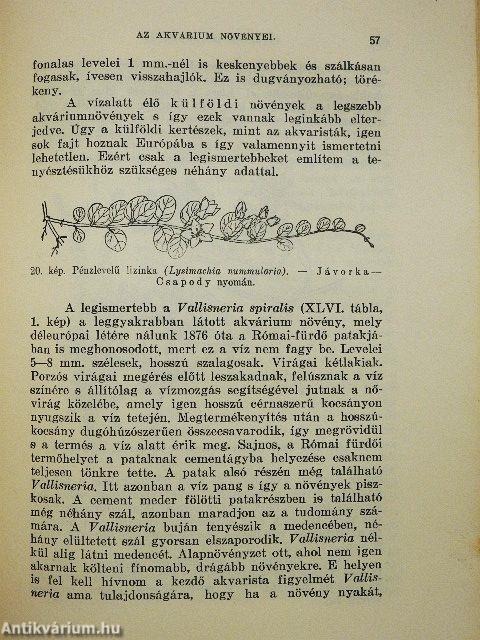 Az akvárium élővilága, berendezése és gondozása (rossz állapotú)