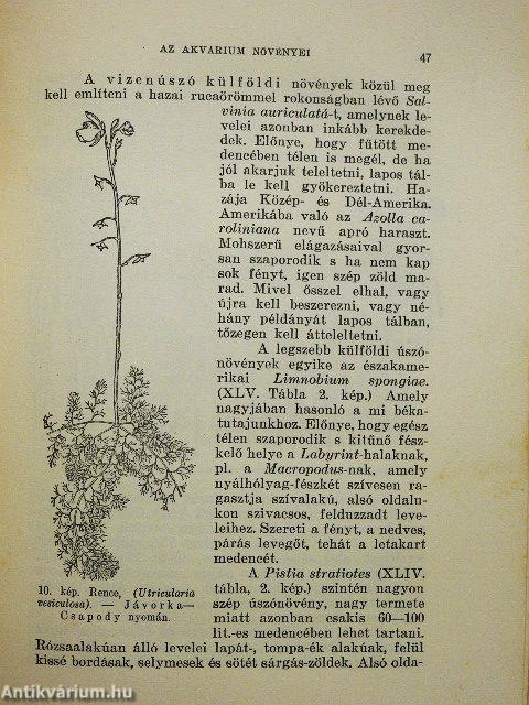 Az akvárium élővilága, berendezése és gondozása (rossz állapotú)