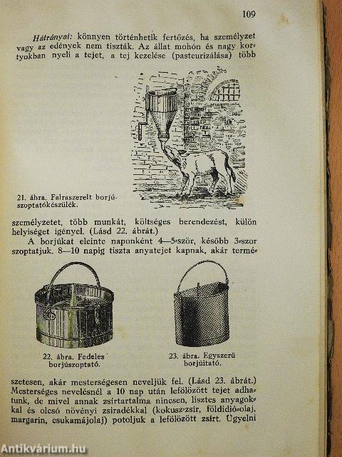 A falusi gazdasági udvar egészségtana (rossz állapotú)