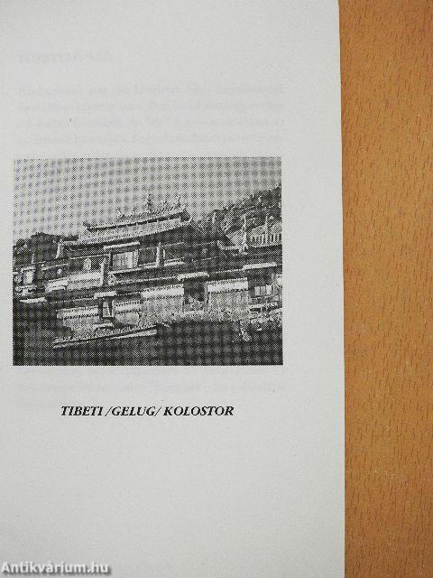 A buddhista tantra/Az üresség természete