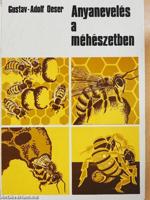 Anyanevelés a méhészetben