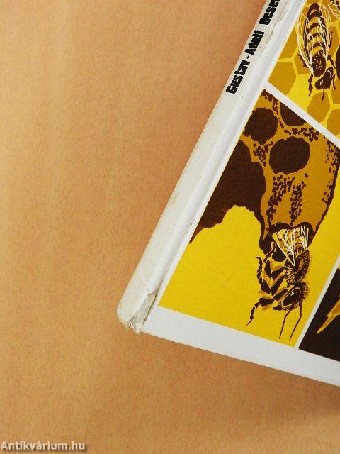 Anyanevelés a méhészetben