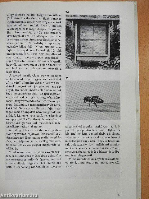 Anyanevelés a méhészetben