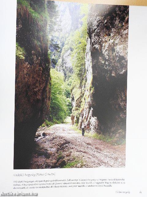 A történelmi Magyarország