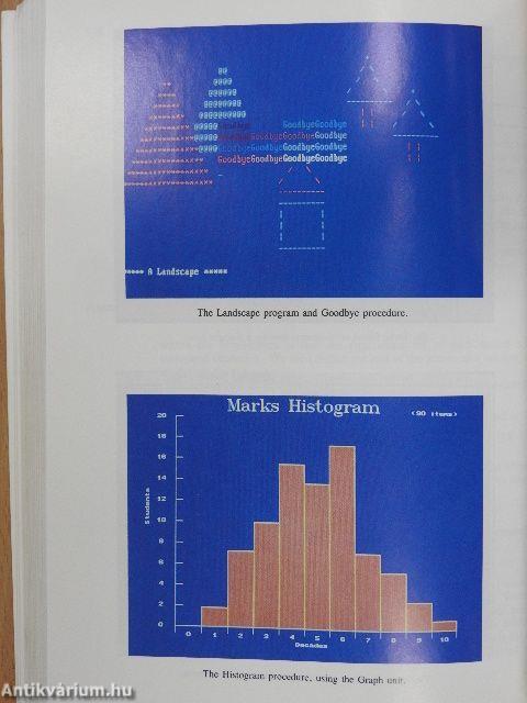 Turbo Pascal Precisely