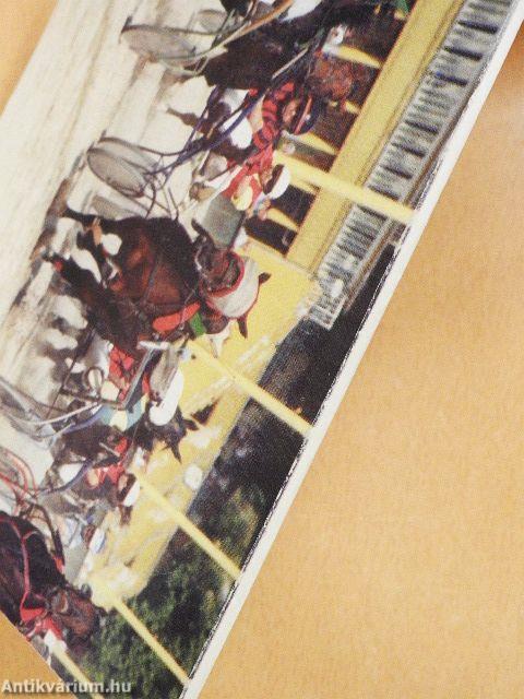 Lóverseny krónika 1998