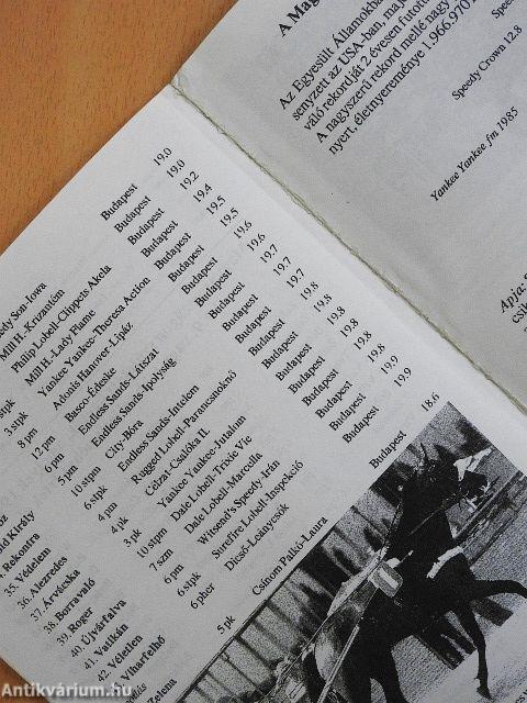 Lóverseny krónika 1998