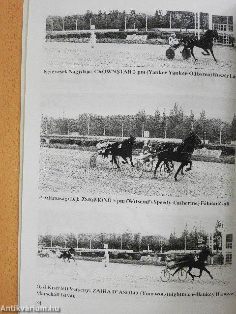 Lóverseny krónika 1998