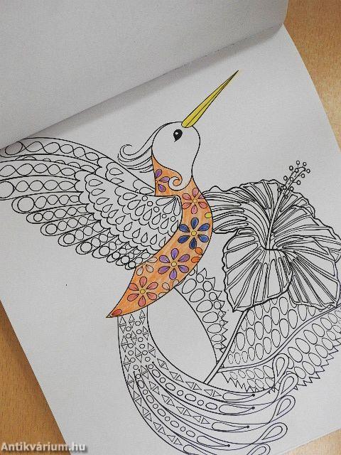 Pájaros y mariposas