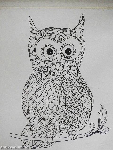 Pájaros y mariposas