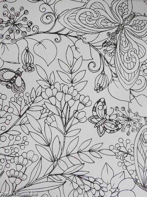 Pájaros y mariposas