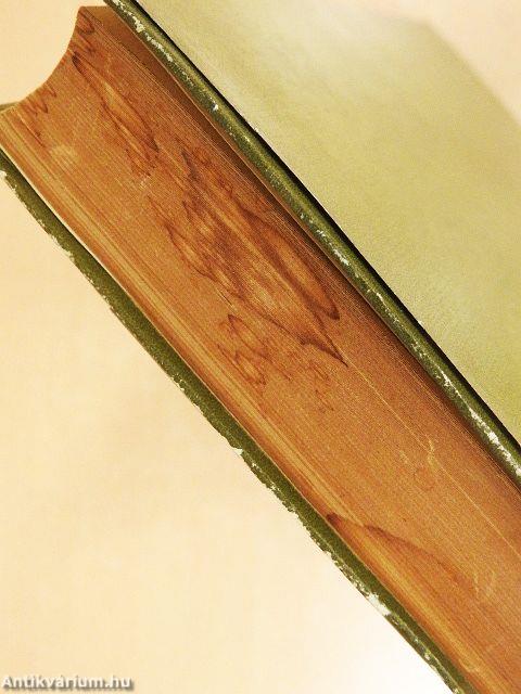 Bildwörterbuch Deutsch und Englisch