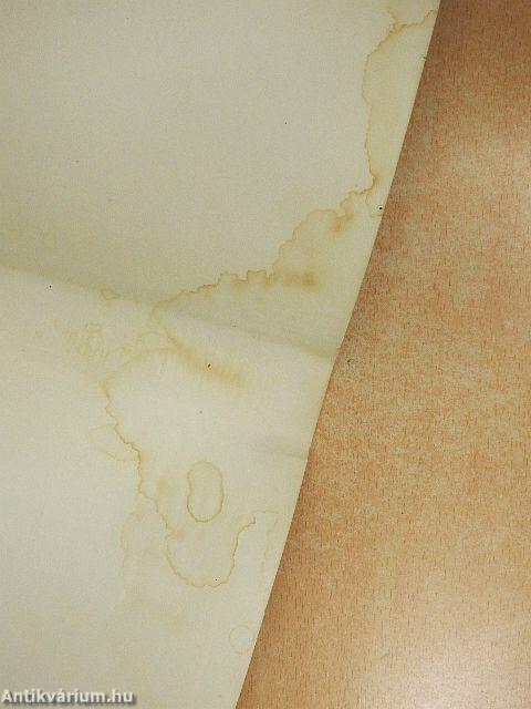 Bildwörterbuch Deutsch und Englisch