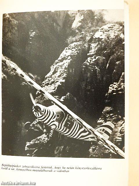 A Serengeti nem halhat meg