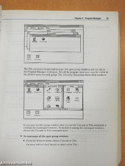 Microsoft Windows Version 3.1 User's Guide