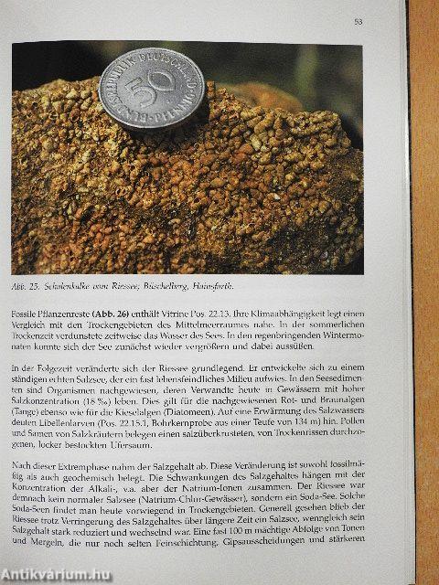 Das Rieskrater-Museum Nördlingen