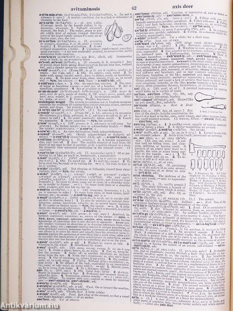 Webster's New Collegiate Dictionary