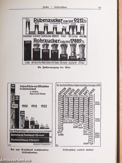 Nationalsozialistischer Wirtschaftsaufbau und seine Grundlagen (gótbetűs)