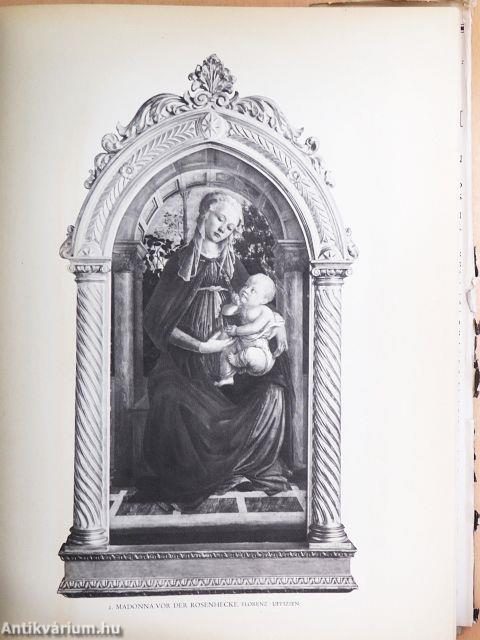 Botticelli