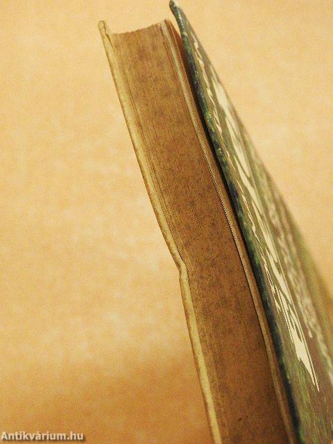 Ételek vadon termő gombákból és erdei gyümölcsökből