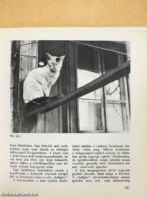 Fényképezés a szabadban