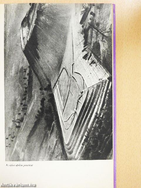 A gyémántmezők rabszolgái