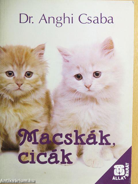 Macskák, cicák