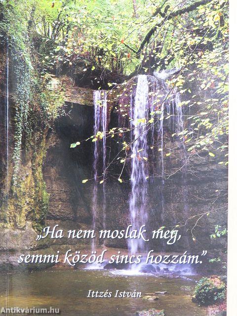 "Ha nem moslak meg, semmi közöd sincs hozzám."