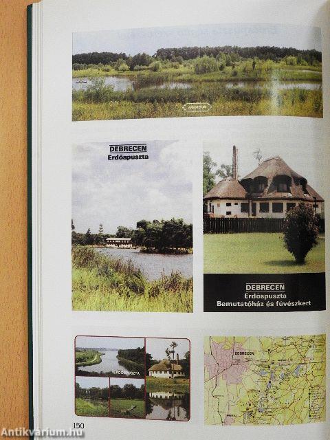 Az Erdőspuszták Parkerdei