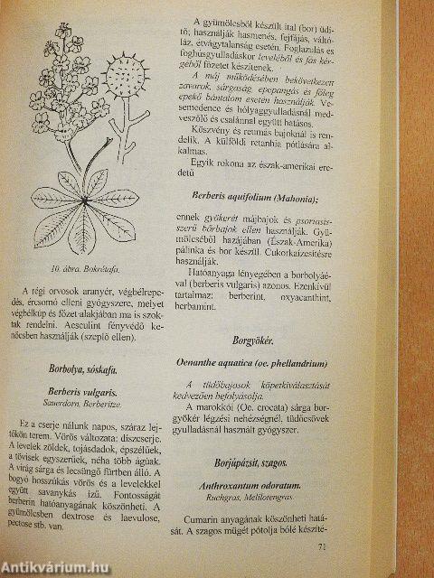 Gyógynövények gyógyhatásai