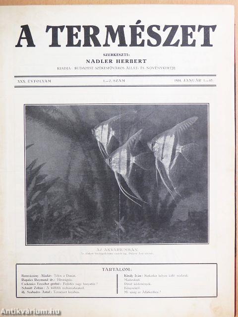 A Természet 1934. január-december