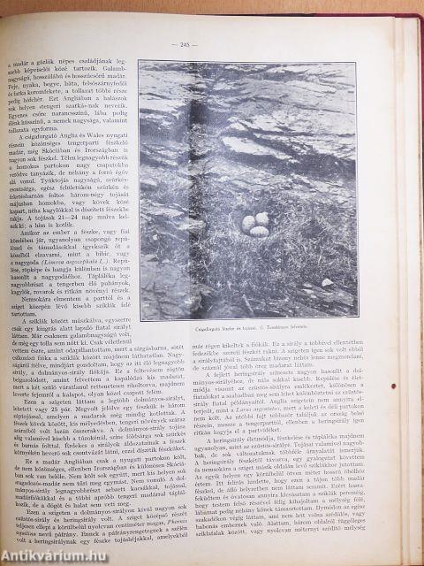 A Természet 1934. január-december