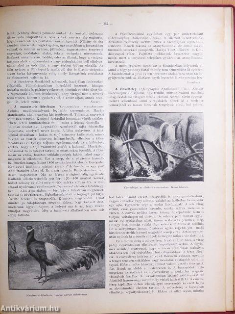 A Természet 1934. január-december