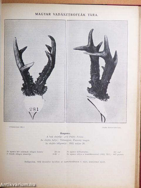 A Természet 1934. január-december