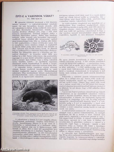 A Természet 1930-1931. január-december
