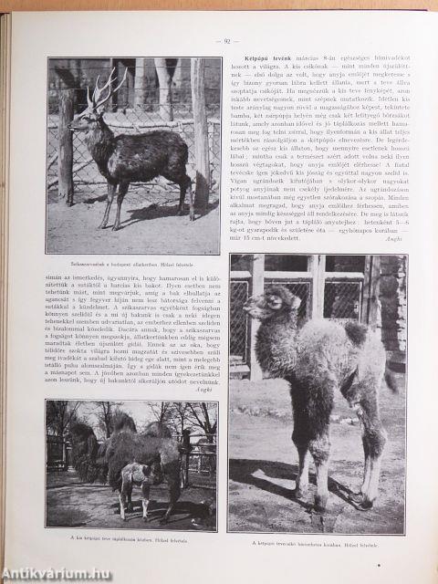 A Természet 1930-1931. január-december