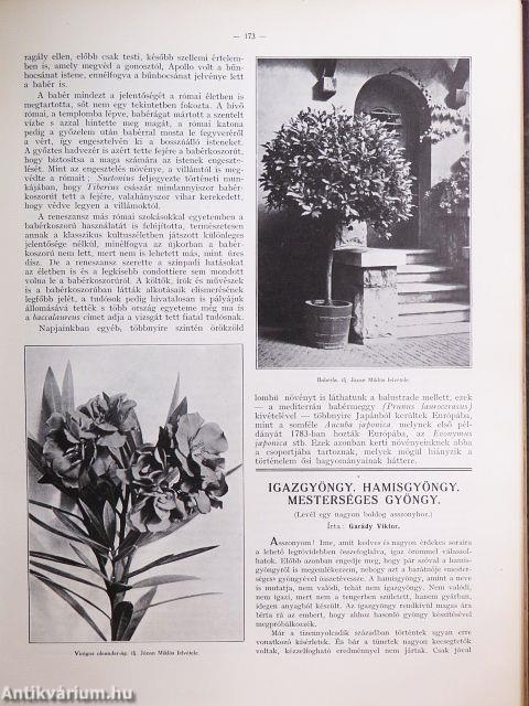 A Természet 1930-1931. január-december
