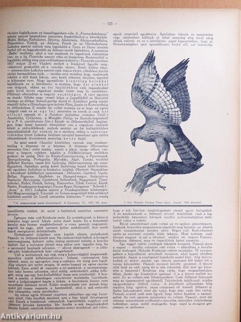 A Természet 1926-1927. január-december