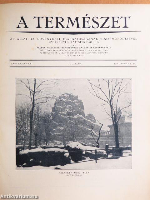A Természet 1928-1929. január-december