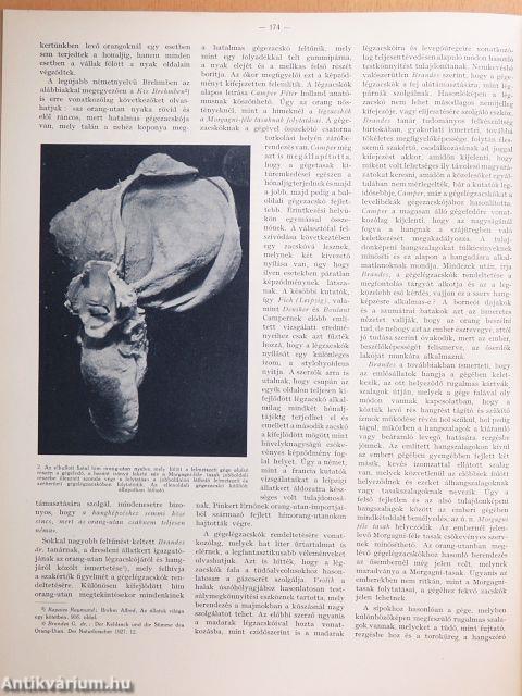 A Természet 1928-1929. január-december