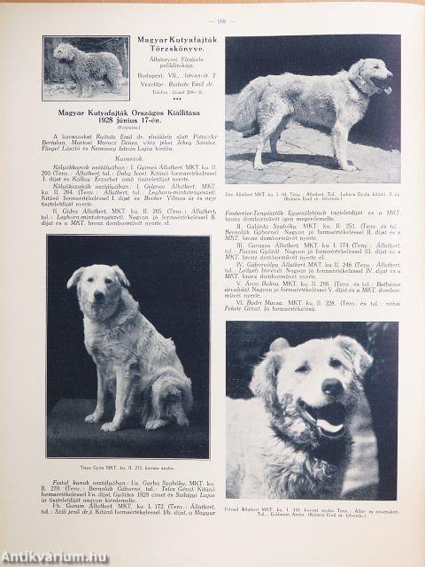 A Természet 1928-1929. január-december