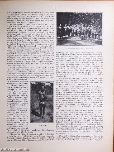A Természet 1932-1933. január-december