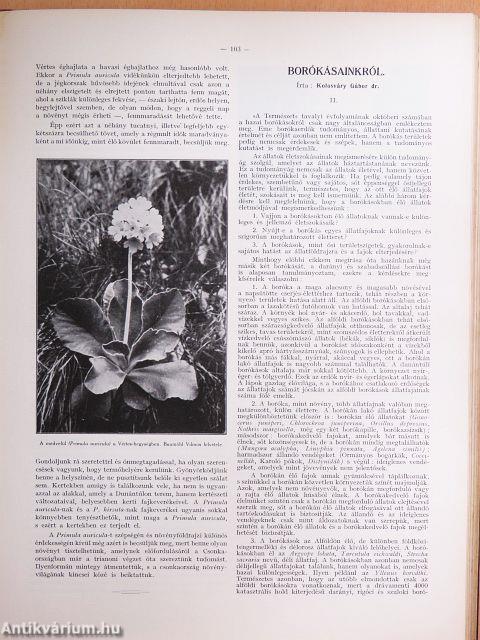 A Természet 1932-1933. január-december